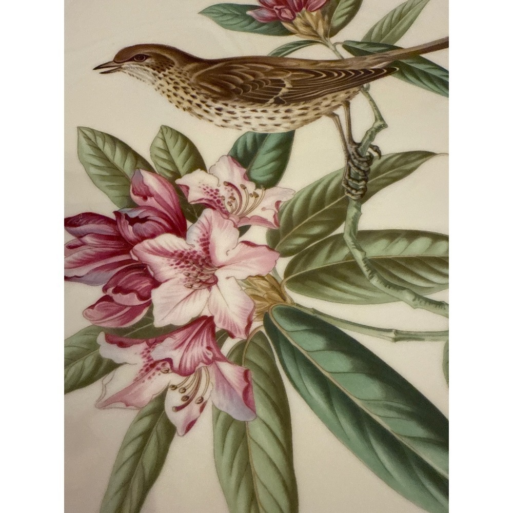 Spode Garden Birds Plate No. 5 of 6 Mistle Thrush Plate England Gold Trim 9.5" - Picture 3 of 7